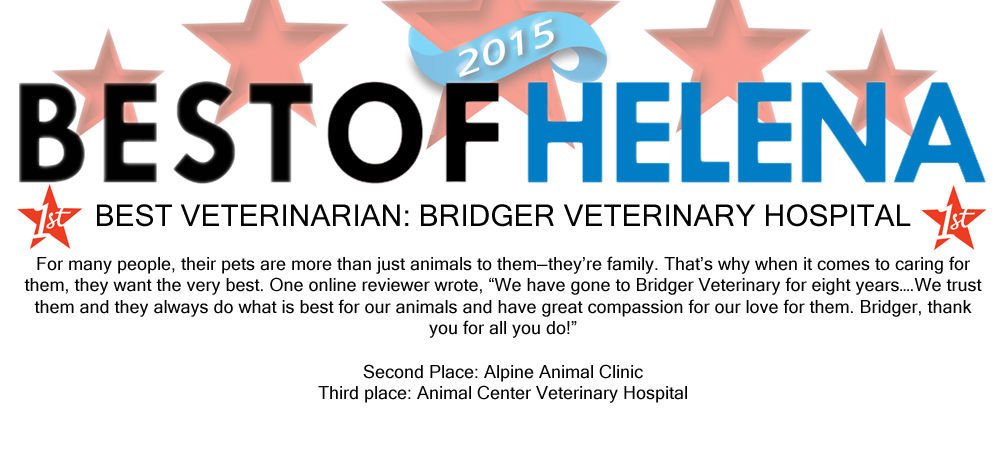 Best Veterinarian